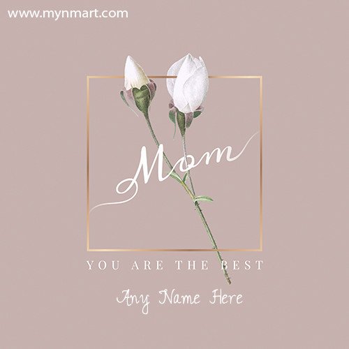 Mom You Are the Best Happy Mother Day Greeting
